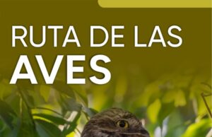 Eldorado invita a una jornada de observación e intercambio de saberes sobre naturaleza y aves de Misiones